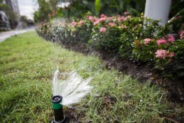 алоэ вера купить: PRIZMA – damla sulama və peyzaj suvarma sistemləri Xidmətin məzmunu — 22