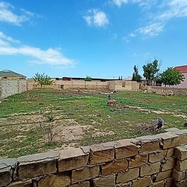 участок с времянкой: Для строительства, Купчая — 3