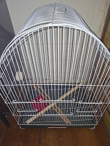 Ağ rəngli quş qəfəsi - Material: metal barmaqlıqlar, möhkəm plastikin