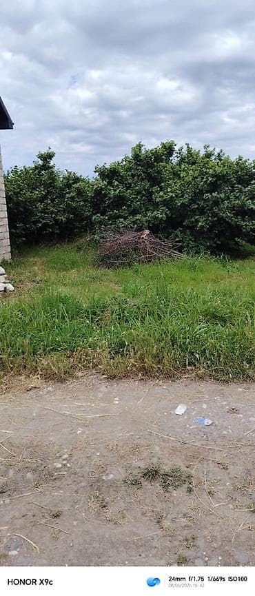 əhmədlidə torpaq: 41 sot, Kənd təsərrüfatı, Maklerlər narahat etməsin, Kupça (Çıxarış) — 1