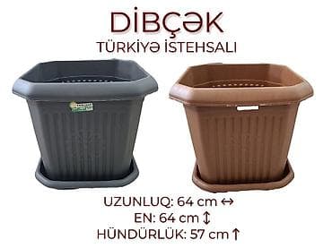 maral buynuzu bitkisi: Dibçek ​🌸 Evinizə və Bağınıza Zəriflik Qatın! ​Keyfiyyətli və — 1