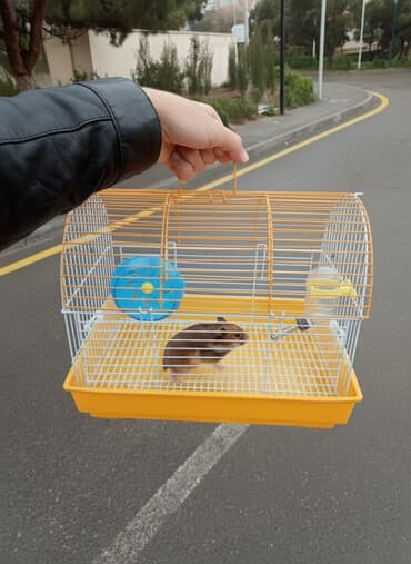 xamyak evi: Xırda gəmiricilər üçün qəfəs - Ölçü: orta həcmli, daşınması rahat — 1