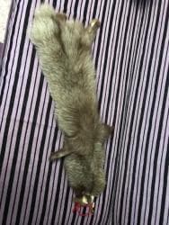 женские шлепанцы с мехом: Продается новый воротник из писца — 1