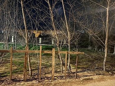 Torpaq: Tikinti — 4