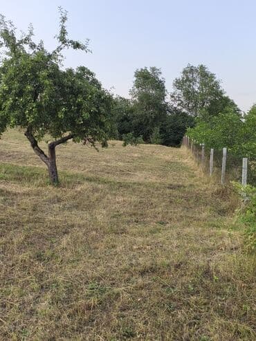 bulbulede torpaq: 40 sot, Tikinti, Mülkiyyətçi, Kupça (Çıxarış) — 3