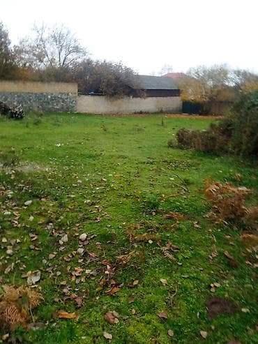 сад: 12 соток, Для строительства, Собственник, Купчая — 9