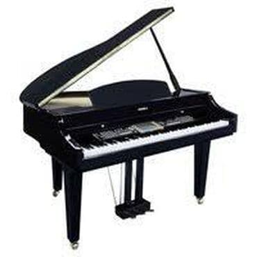 pianinolar: Elektro Royal Medeli. Pianoçular üçün əla təklif! Akustik pianonun — 1