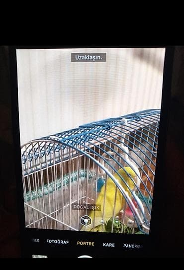 iphone 10 qiyməti: IPhone X, Qara, Face ID — 6