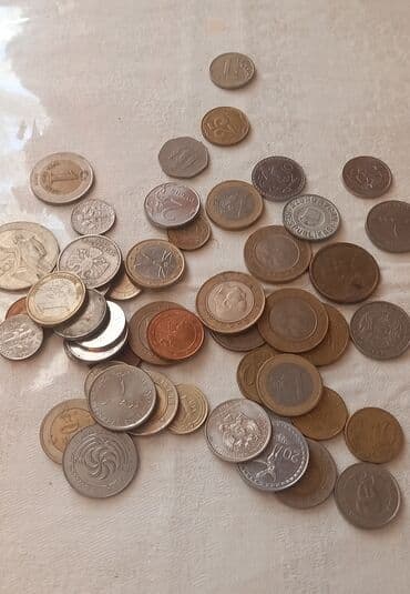 домики для кошек баку: Qedimi esyalar — 5