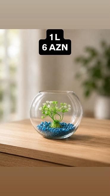 pulsuz it: Yumru akvarium, 1 l, Pulsuz çatdırılma, Ödənişli çatdırılma, Ünvandan götürmə — 5