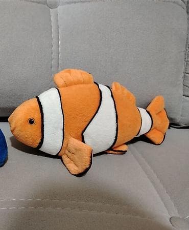 pulsuz heyvan: Рыбка Немо. Окончательная цена. Адрес: Монтин — 1