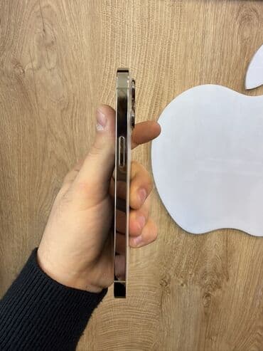 iphone 13 pro kreditle: IPhone 13 Pro, 128 GB, Gümüşü, Simsiz şarj — 4