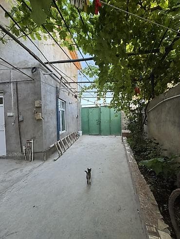 sabuncu rayon: 5 otaqlı, 150 kv. m, Kredit yoxdur, Yeni təmirli — 1