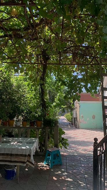 6 sot, Tikinti, Mülkiyyətçi, Kupça (Çıxarış) — 4
