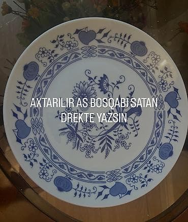 Tabbi