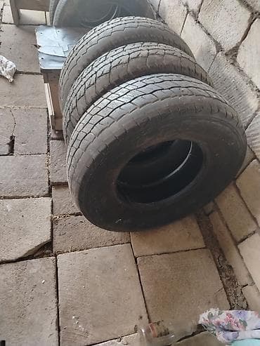 radius teker: 3 ədəd pikap təkəri — 2