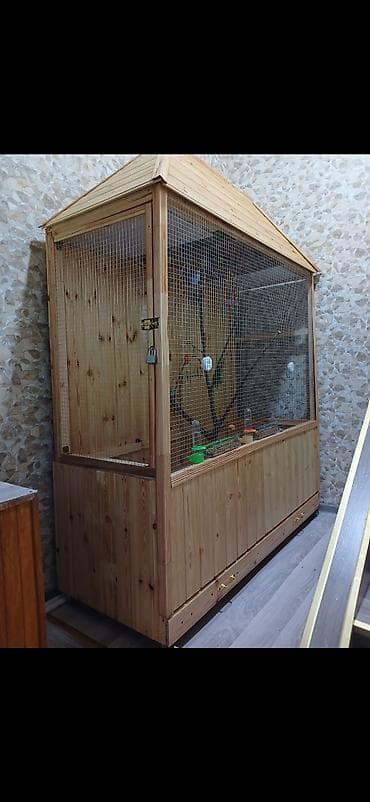 quş ucun qəfəs: 1.50 nin 1.50 yə . papuqaylarla birlikdə satılır — 1