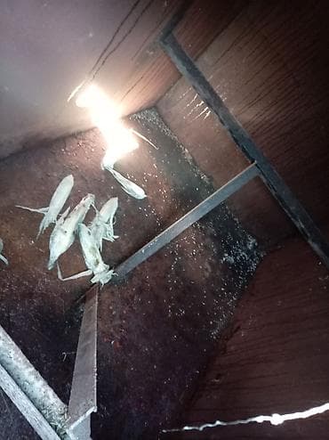 Bak, Paslanmayan polad, 5000 l l, İşlənmiş, Ünvandan götürmə