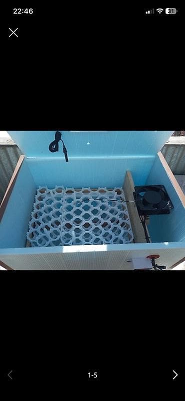 pekin: 120 yumurta tutumlu Yarimavtomat İstenilen quş növü üçün uygun — 2