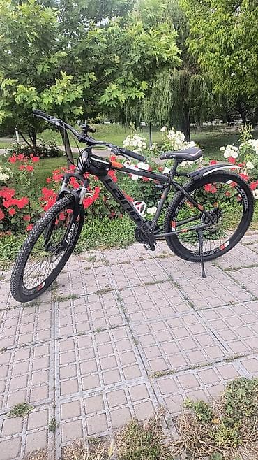 LEMA brendli dağ velosipedi Xüsusiyyətlər: - Güclü alüminium tipli