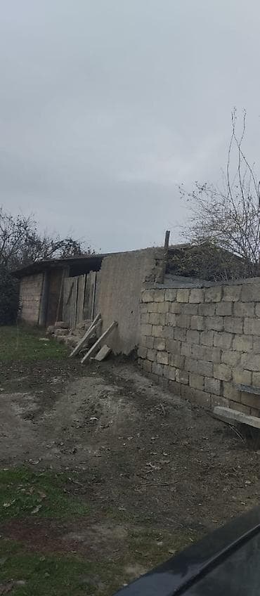ipoteka ile satilan evler: 36 sot, Kənd təsərrüfatı, Mülkiyyətçi, Kupça (Çıxarış) — 9
