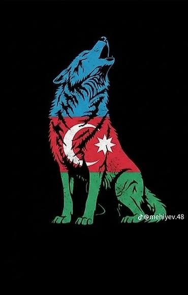 Məhsul: Azərbaycan temalı qrafik dizayn illüstrasiyaları Təsvir: -