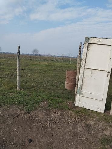 kənd: Kənd təsərrüfatı — 1