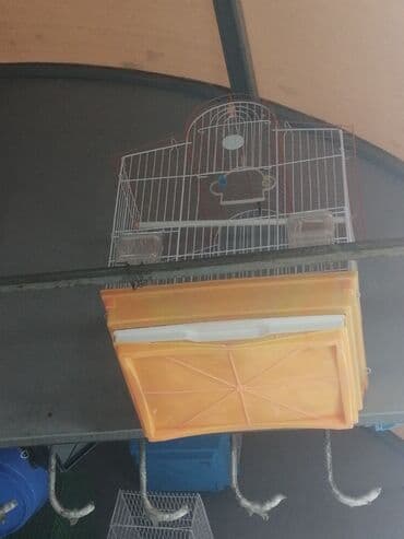 quş qəfəsləri: Qəfəs 9azn Valnisti Tutuquşu Qəfəsi 9azn Amadin Bülbül Qəfəsi 9azn — 23