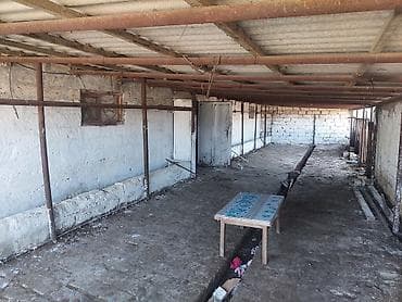 arenda donər evi: Mal-qaranın saxlanması üçün hazır ferma/binə kompleksi - Daş divarlı — 3