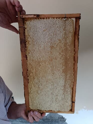 dağ balı: Təbii bal Şanlı bal süzmə (çiçək) balı mövcuddur whatsaap aktivdi — 3