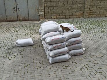 Toz halinda mal peyini - kisesi 2,60 q. ( boyuk kepek kisesinde)