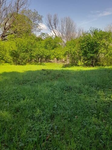 аренда и продажа недвижимости: 30 sot, Kənd təsərrüfatı, Mülkiyyətçi, Kupça (Çıxarış) — 17