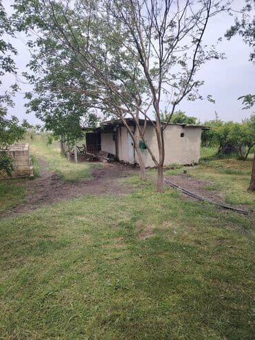 kirayə ev 3 otaq: Kürdəmir, 3000 kv. m, 2 otaqlı, Hovuzsuz, Qaz, İşıq, İnternet — 4