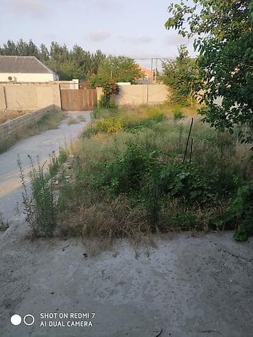 7 sot, Tikinti, Mülkiyyətçi, Kupça (Çıxarış) — 1