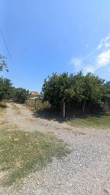 kirə: 4 otaqlı, 3000 kv. m, Kredit var, Orta təmir — 5