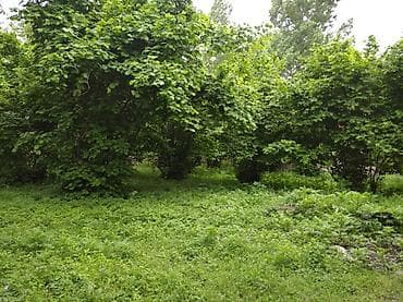 XALXAL kəndində 5.10.15sot istenilen qeder tikinti təyinatli — 3