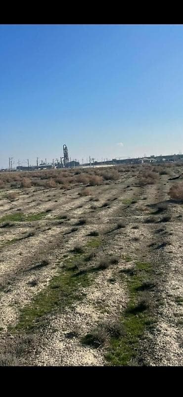 abseronda kiraye evler: 150 sot, Biznes üçün, Mülkiyyətçi, Kupça (Çıxarış) — 10