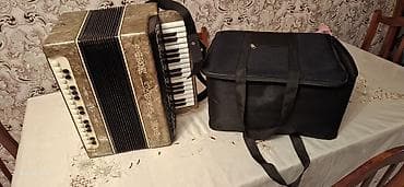 lalafo cantalar: Akustik Akkordeon — 5