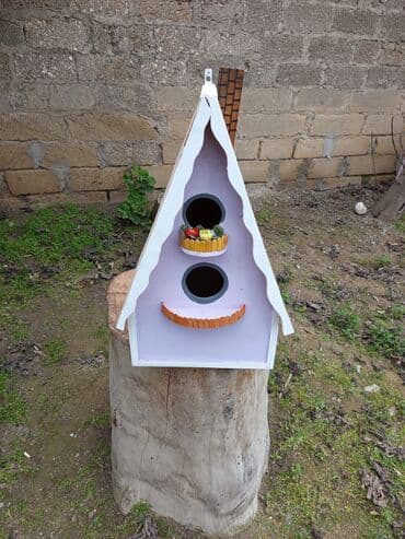 dibcək gulu: Quş yuvalari — 2