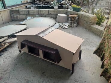 menks cinsi pişik: 2 местных для кошек . с заказом тоже готовлу. водоустойцмй — 6