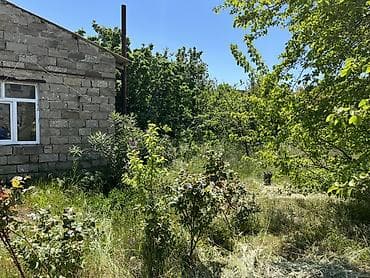 berde bina evleri: 10 sot, Tikinti, Bələdiyyə — 6