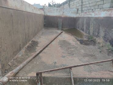 zapi maşın: Kuza satılır qiyməti 6000 manat qiymətdə razılaşmaq olar — 7