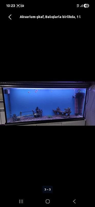 akvarim: Аквариум-шкаф, Вместе с рыбами, 250 л, Самовывоз — 3