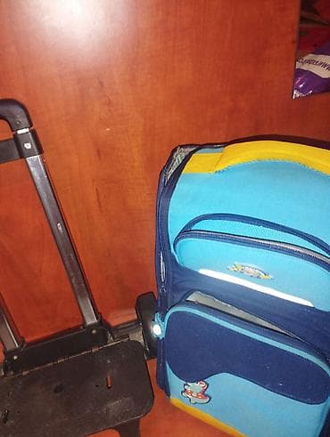 usag alemi: Uşaq üçün təkərli məktəb çantası - Çıxarılan/alüminium teleskopik — 4