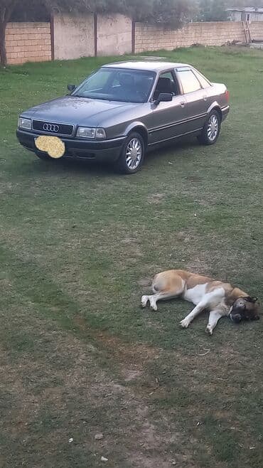 запчасти ауди а8: Audi : 2 л | 1994 г. Седан — 1