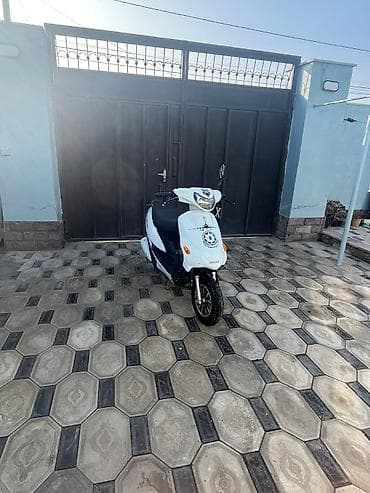 bmw e39 kuza: Moon brand - 50, 50 sm3, 2023 il, 11250 km — 8