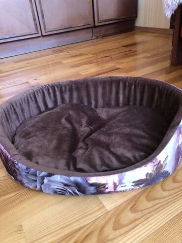 Şampunlar: Piwikler ucun teze — 1