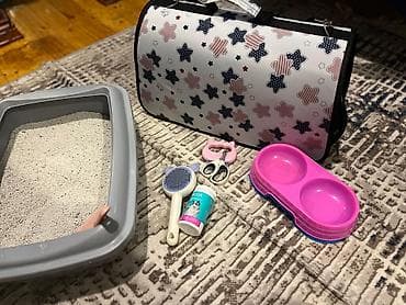 мощный игрушечный пистолет: Boz rəngli, zolaqlı ev pişiyi üçün tam dəst aksesuarlar Paketə — 2