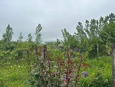 Mənzillər: Şamaxı, 140 kv. m, 5 otaqlı, Hovuzsuz, Qaz, İşıq, Su — 10