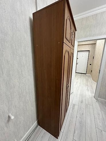 2 qapılı, Qəhvəyi, Taxta, Açılan, Düz dolab